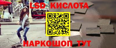 прущие грибы Будённовск