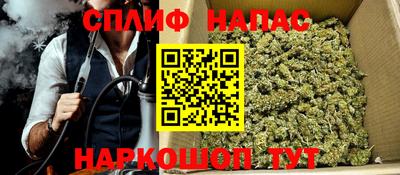 прущие грибы Будённовск