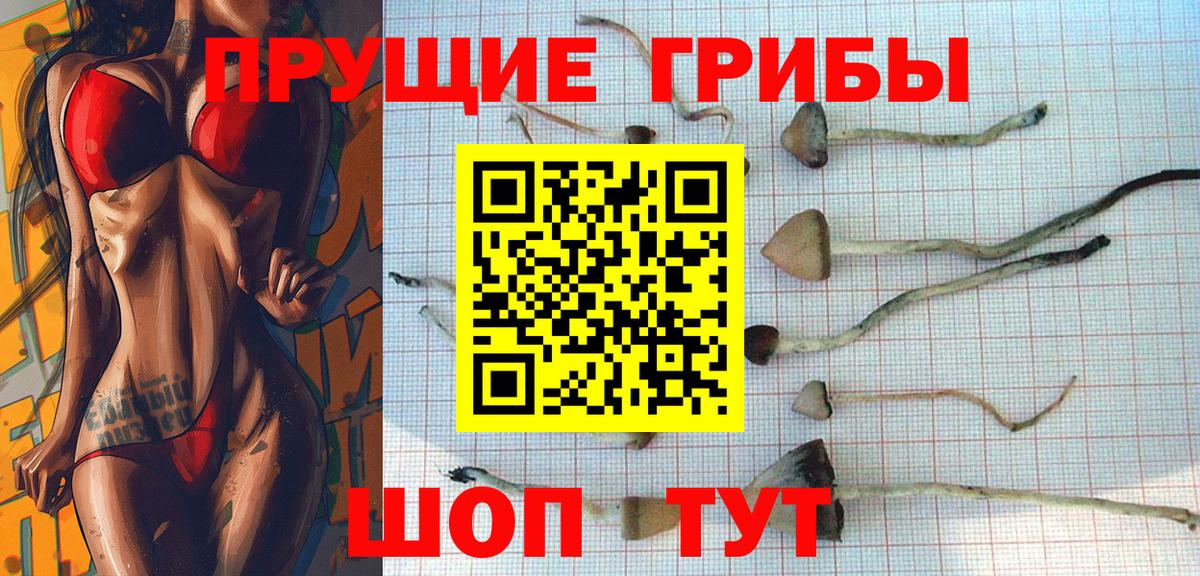 Междуреченск  Галлюциногенные грибы MAGIC MUSHROOMS  Вход с VPN  Псилоцибиновые грибы Cubensis 