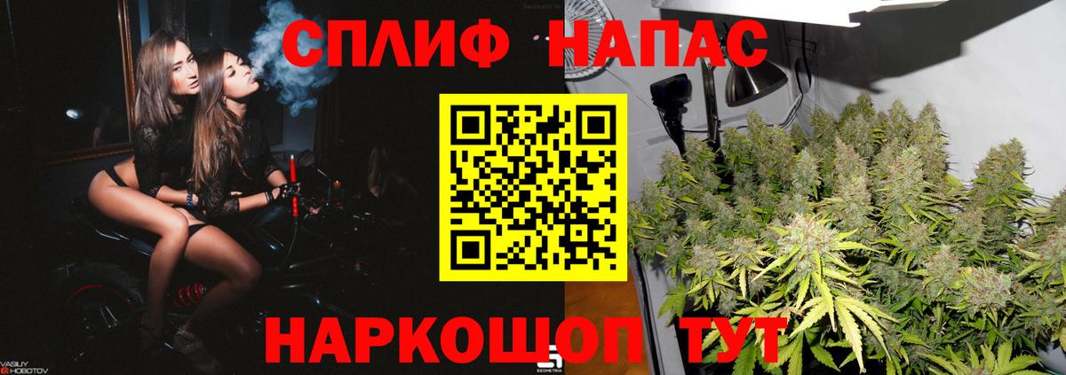 Канабис сатива Междуреченск